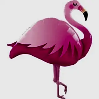 Flamingos