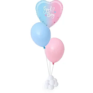 girl or boy ballonstrauss gender reveal